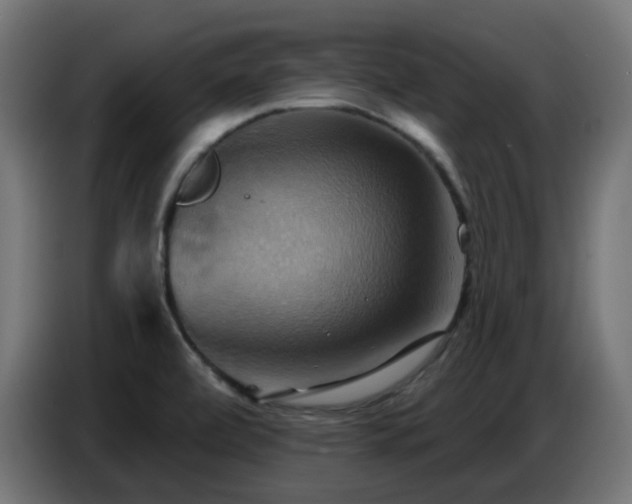 X0000086751472200704131140