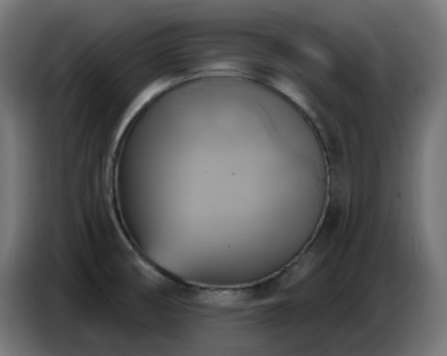 X0000086751474200704131140