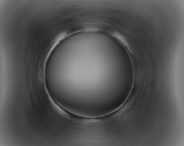 X0000086751475200704131140