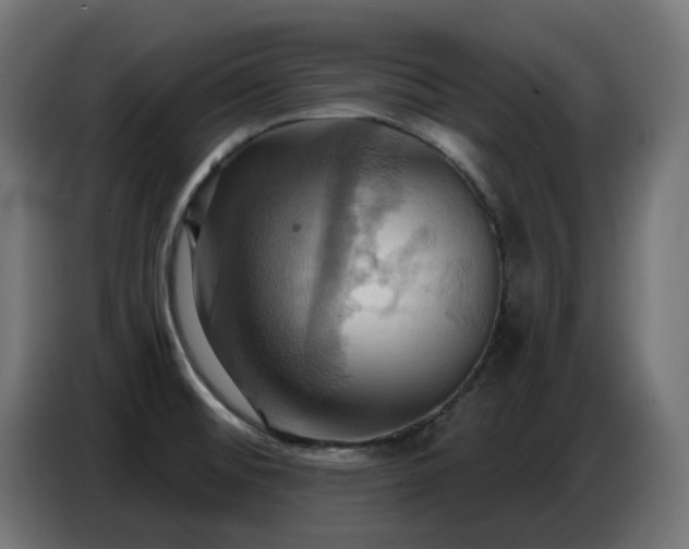 X0000086751476200704131140
