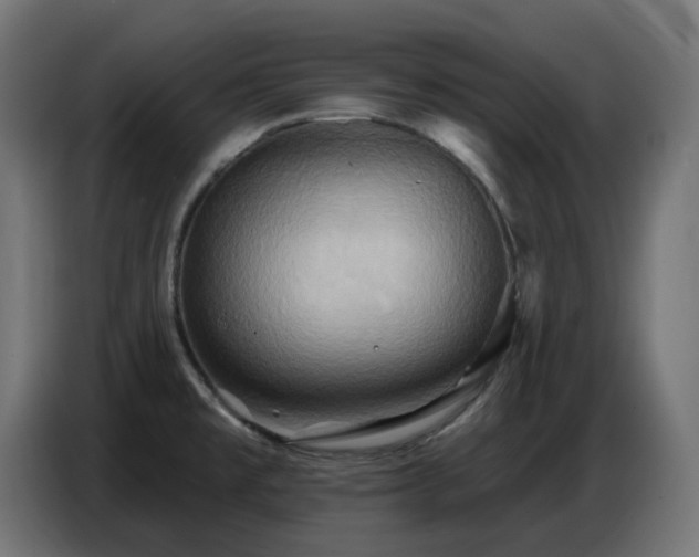 X0000086751477200704131140
