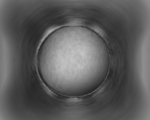 X0000086751478200704131140