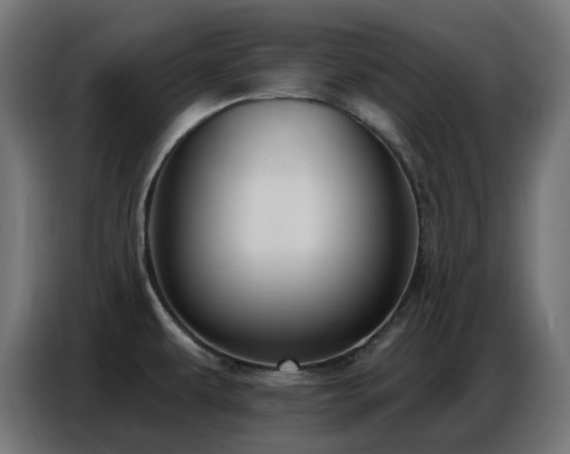 X0000086751479200704131140