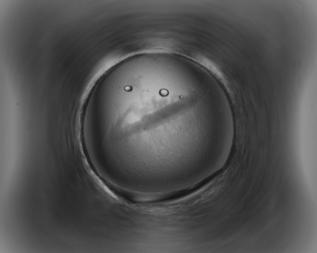 X0000086751480200704131140