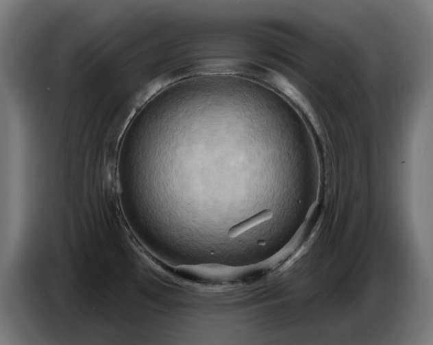 X0000086751481200704131140