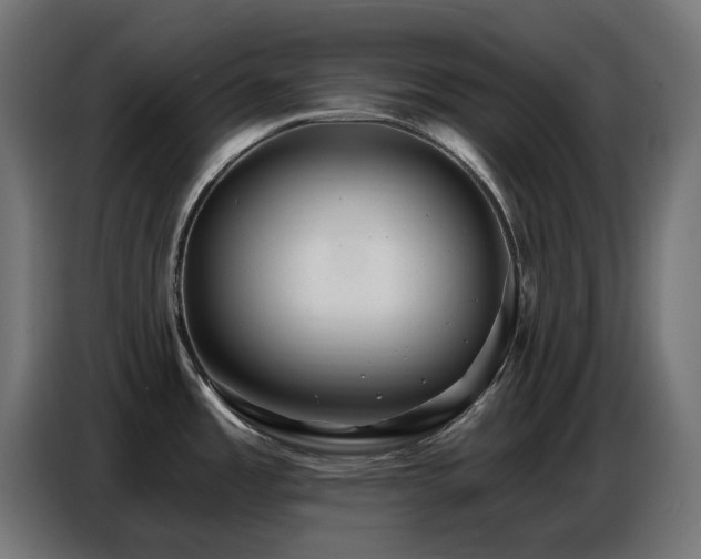 X0000086751485200704131140