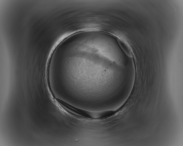 X0000086751488200704131140