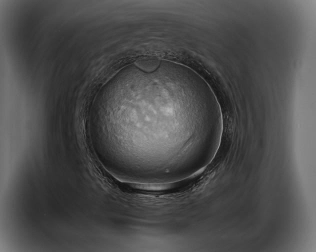 X0000086751489200704131139