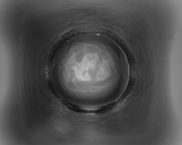 X0000086751490200704131139