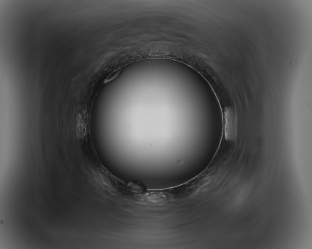 X0000086751491200704131139