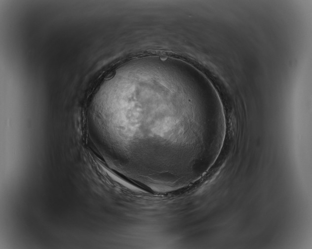 X0000086751494200704131139