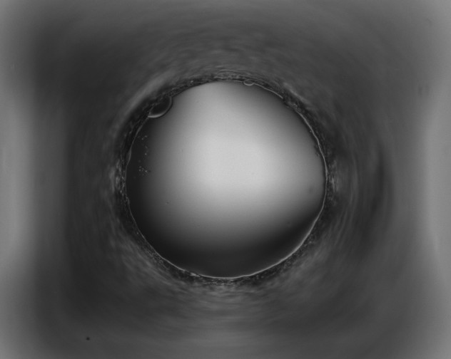 X0000086751495200704131139
