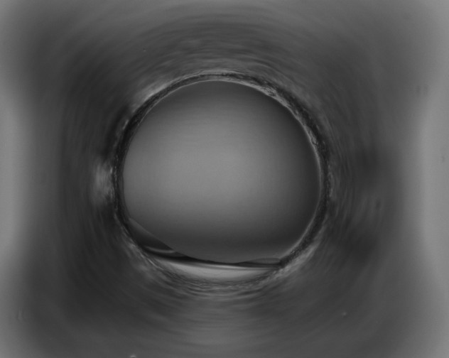 X0000086751497200704131139