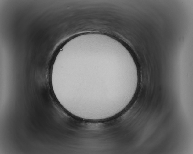 X0000086751498200704131139