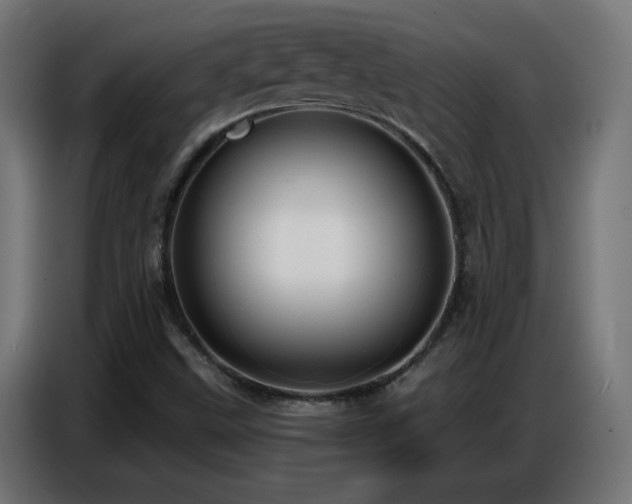 X0000086751499200704131139