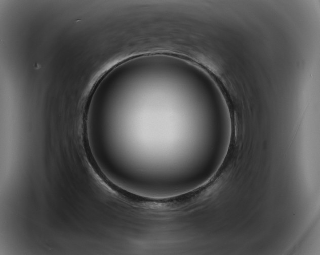 X0000086751500200704131139