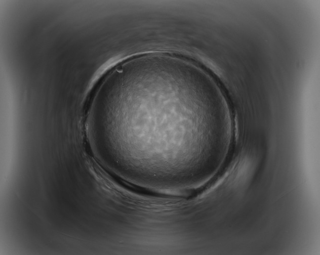 X0000086751501200704131139