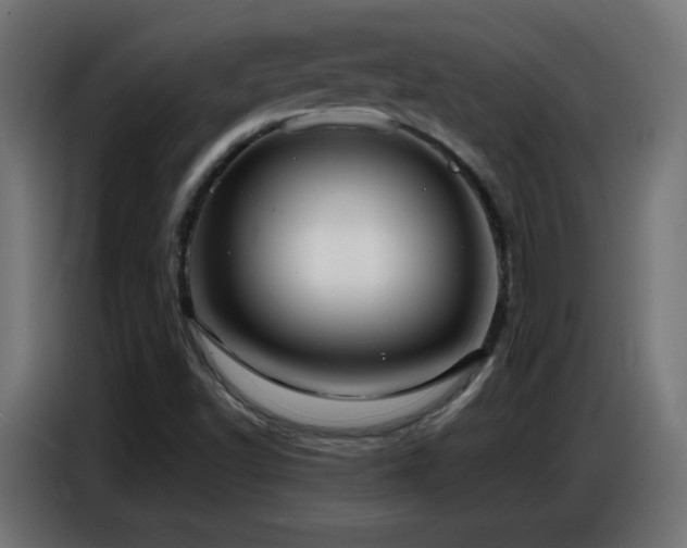 X0000086751502200704131139