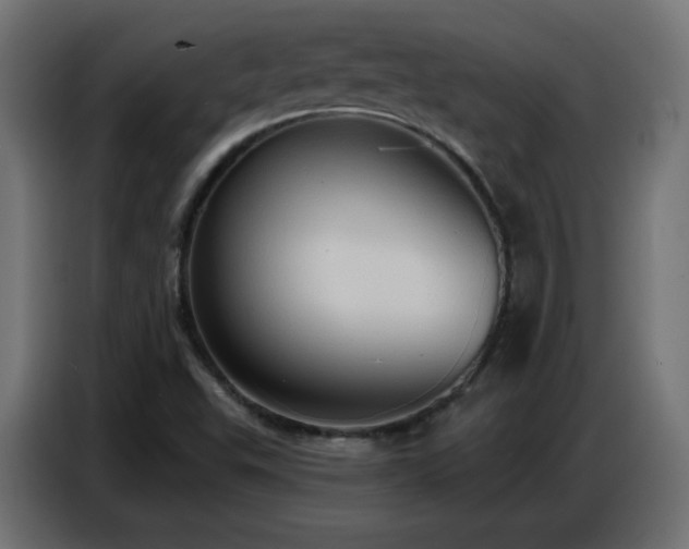 X0000086751503200704131139