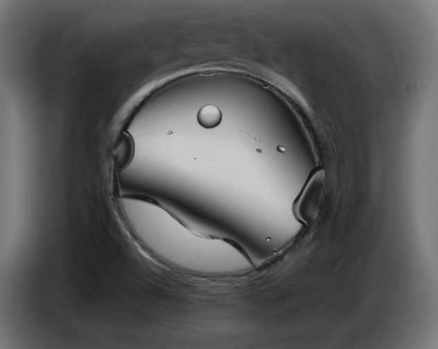 X0000086751504200704131139
