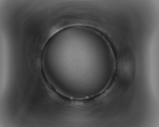 X0000086751505200704131139