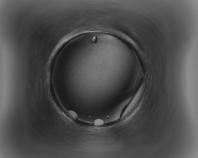 X0000086751506200704131139