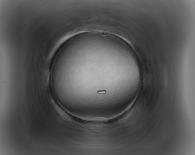 X0000086751507200704131139
