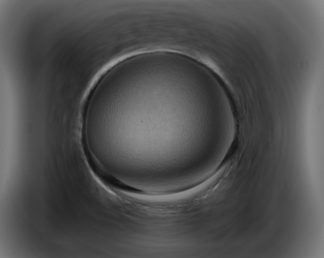 X0000086751508200704131139