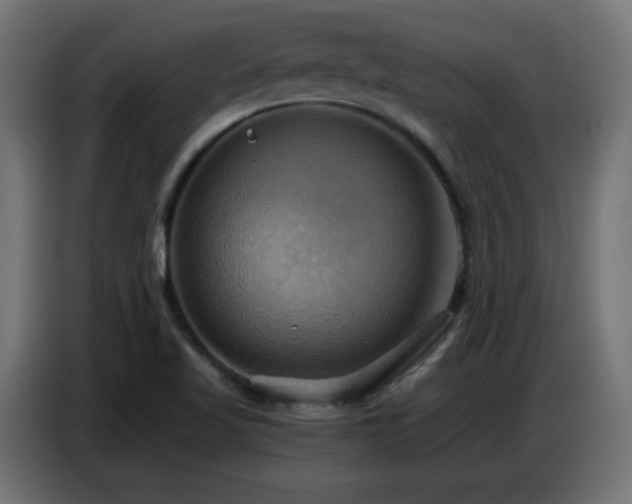 X0000086751509200704131139