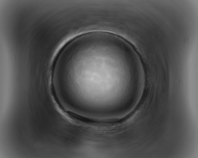 X0000086751511200704131139