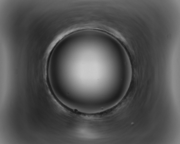 X0000086751512200704131139