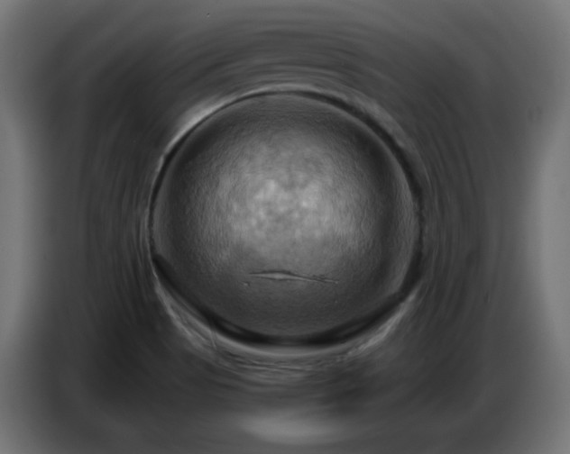 X0000086751513200704131139