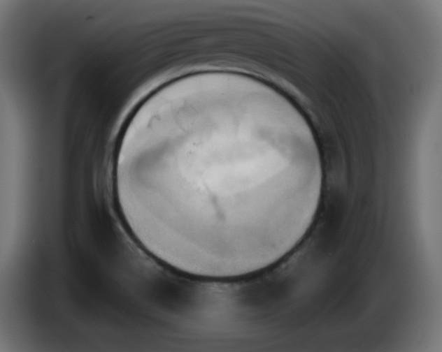 X0000086751514200704131140