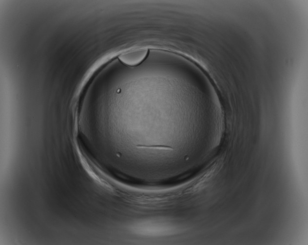 X0000086751515200704131140