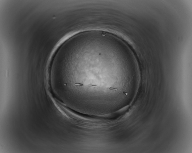 X0000086751517200704131140