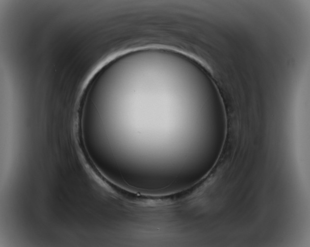 X0000086751518200704131140