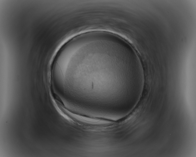 X0000086751519200704131140