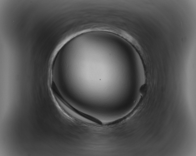 X0000086751520200704131140