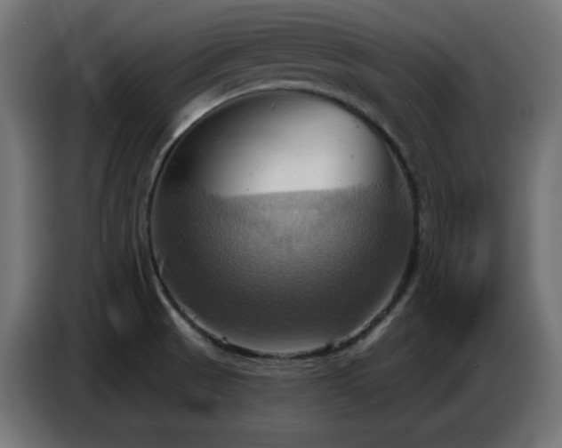 X0000086751521200704131140
