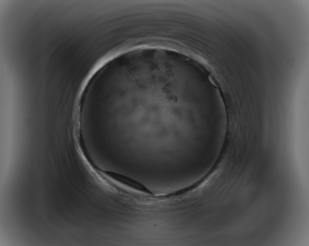 X0000086751522200704131140