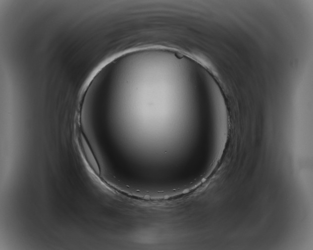 X0000086751524200704131140