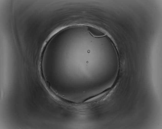X0000086751525200704131140
