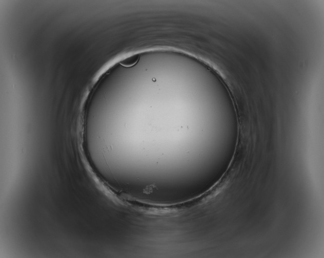 X0000086751526200704131140