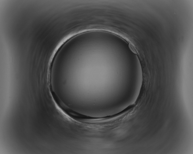 X0000086751527200704131140