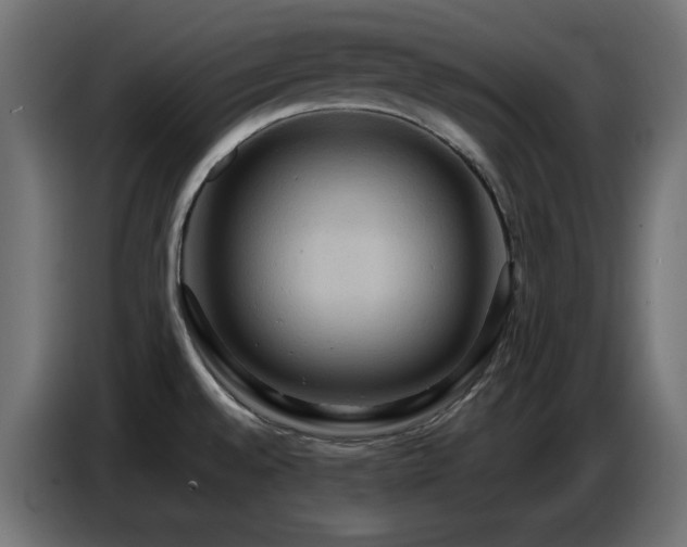 X0000086751528200704131140