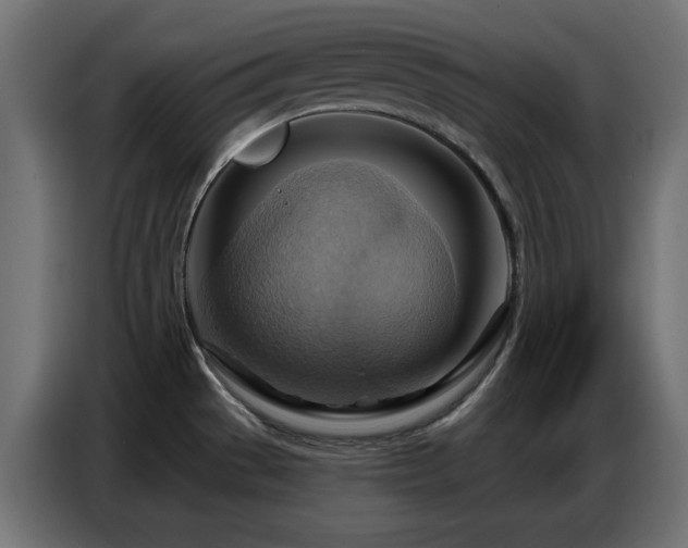 X0000086751529200704131140