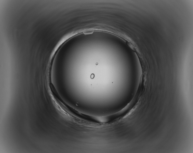 X0000086751530200704131140