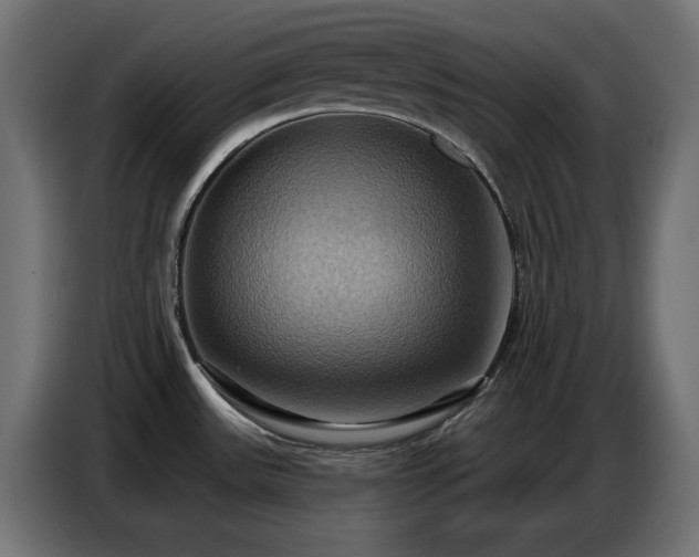 X0000086751531200704131140
