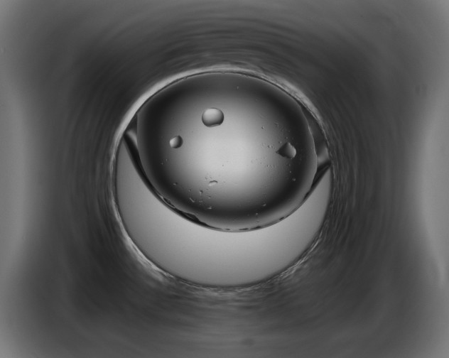 X0000086751532200704131140