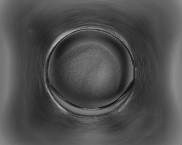 X0000086751533200704131140